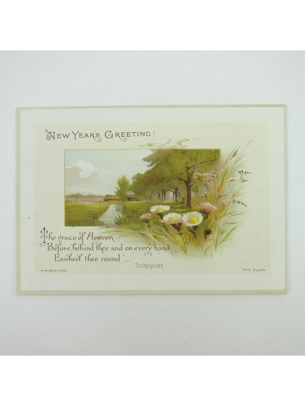 Victorian Greeting Card New Years Wirths Bros & Owen House Flowers Trees Antique